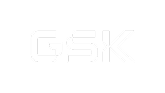 GlaxoSmithKline Brasil Ltda